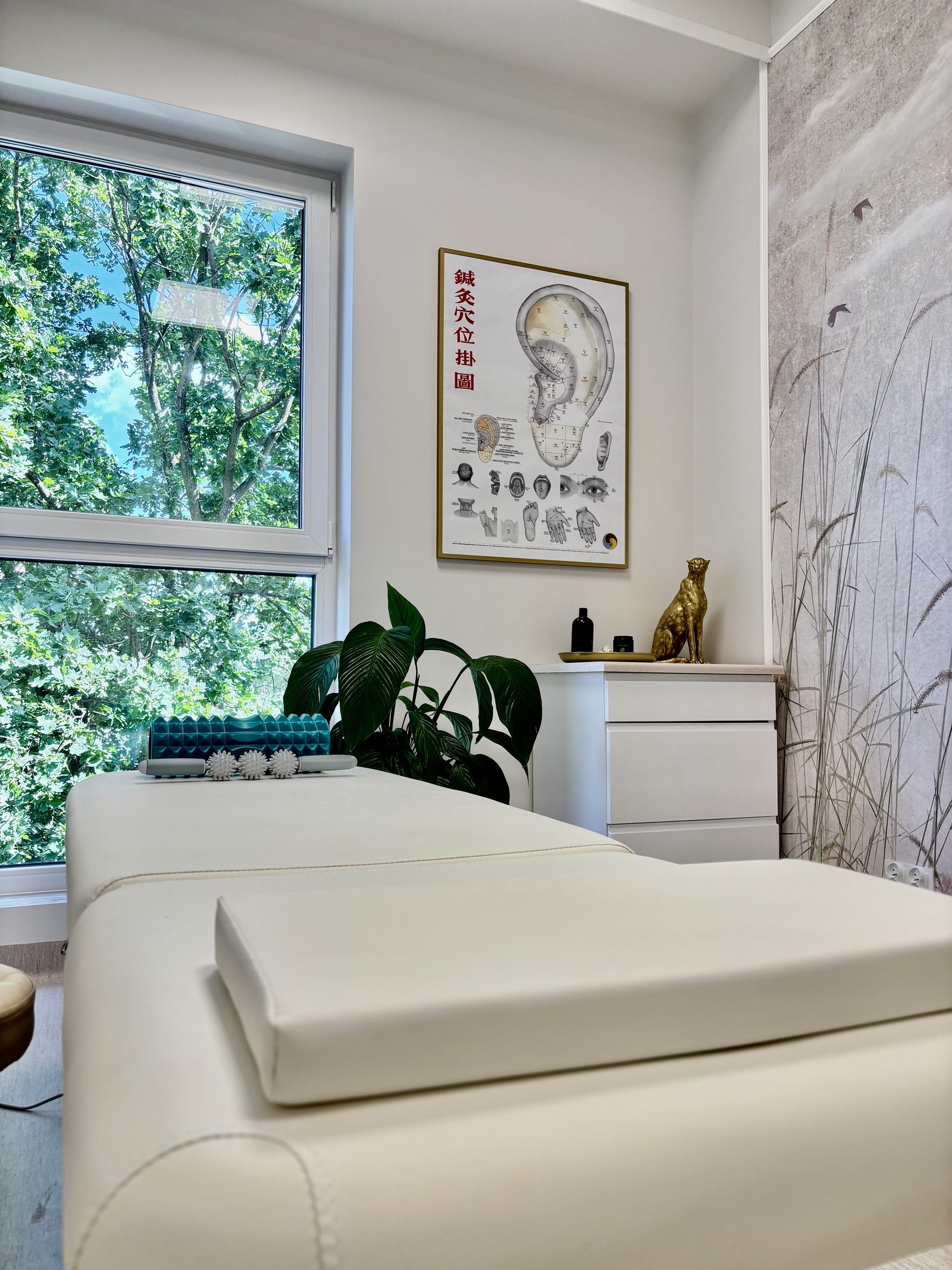 Pawlak Clinic 1
