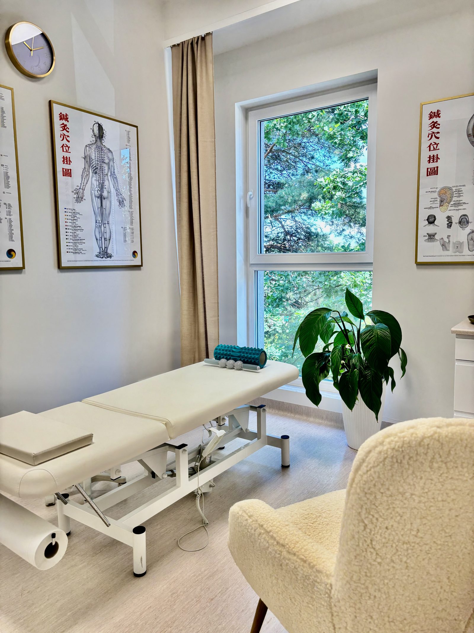 Pawlak Clinic 9