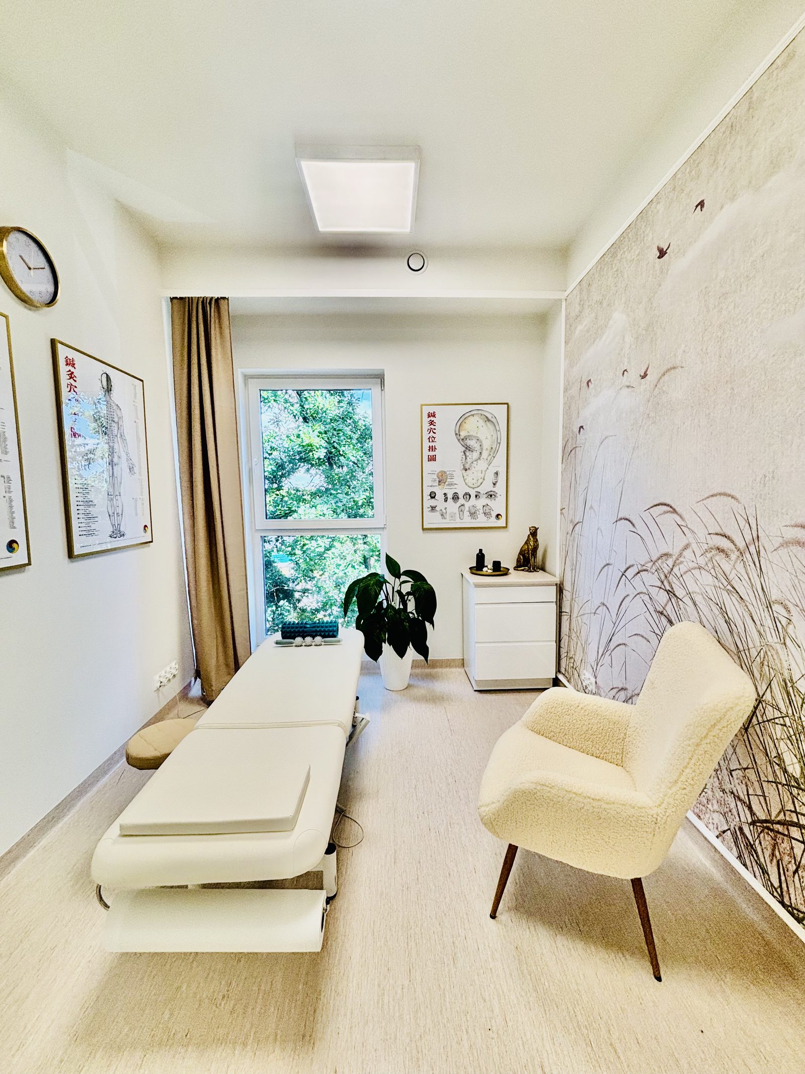 Pawlak Clinic 15