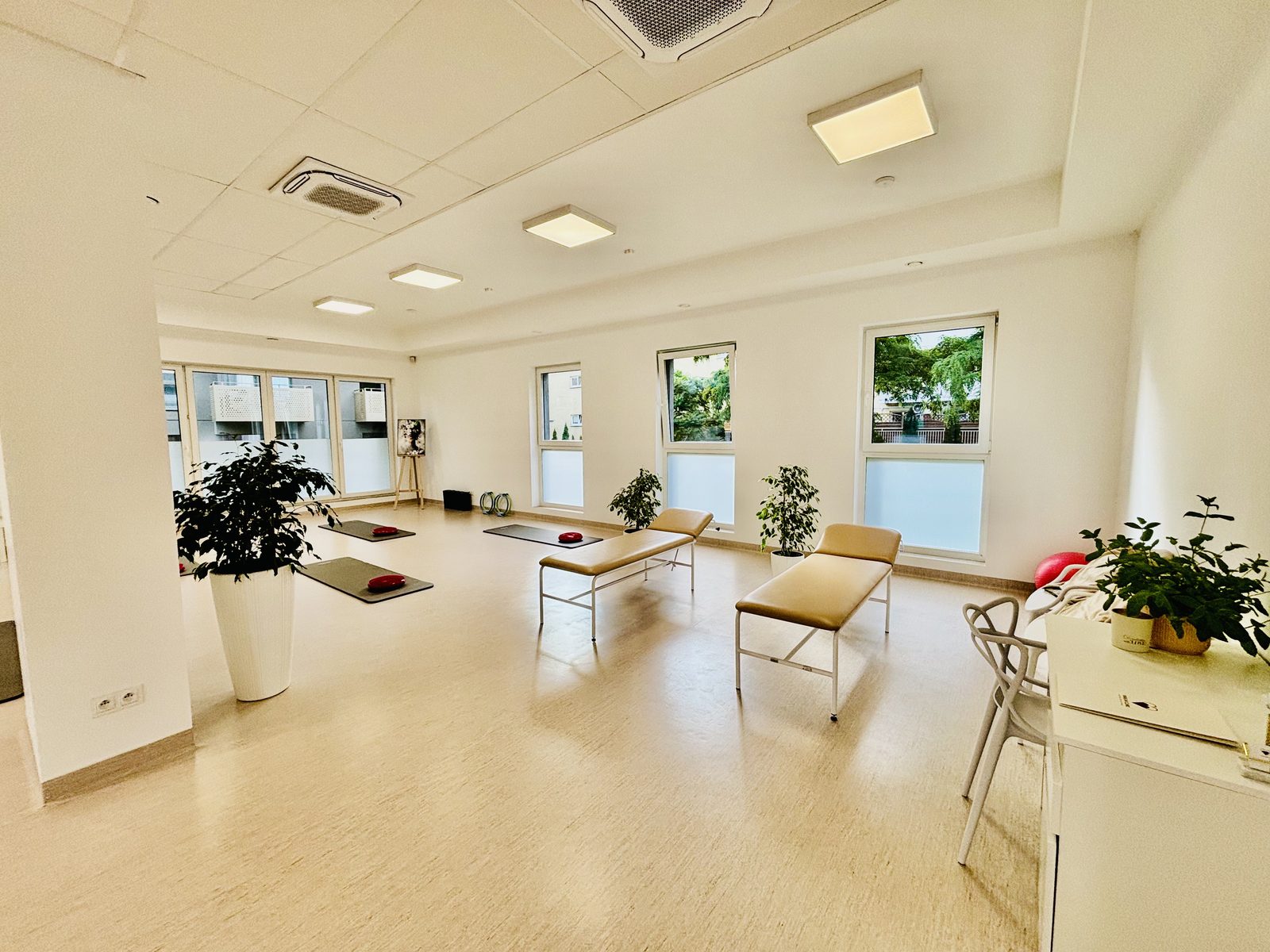 Pawlak Clinic 8