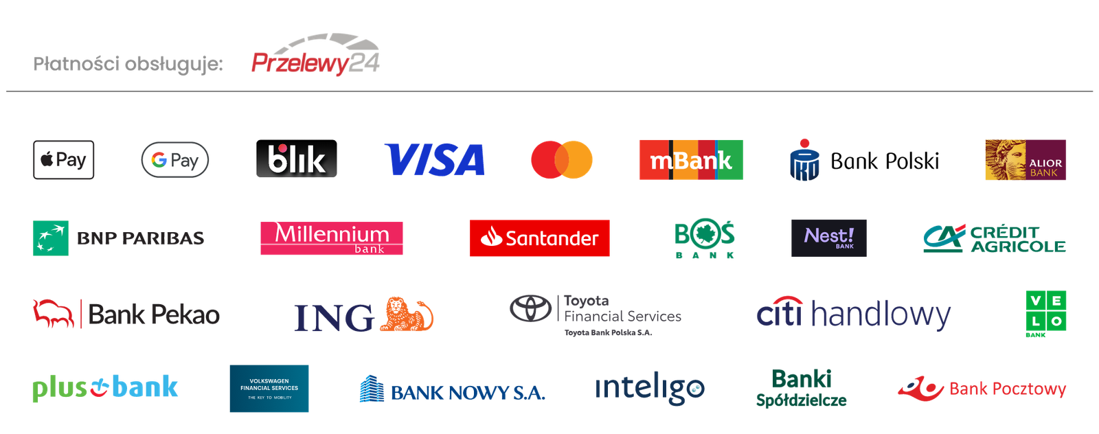 Metody płatności: Przelewy24, BLIK, Visa, Mastercard, Apple Pay, Google Pay oraz banki (m.in. Alior, PKO BP, mBank, Santander)