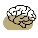 radiologia Pawlak Clinic