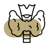 endokrynologia Pawlak Clinic