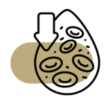 Dożylne podanie preparatów żelaza Pawlak Clinic