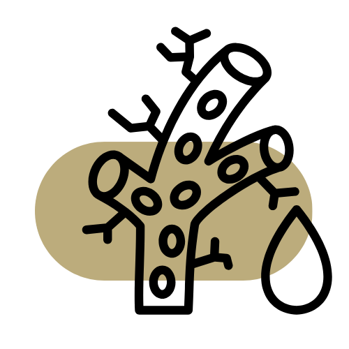 badanie usg naczyń Pawlak Clinic