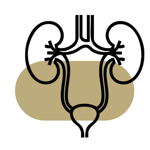 Dożylne podanie leków diuretycznych Pawlak Clinic